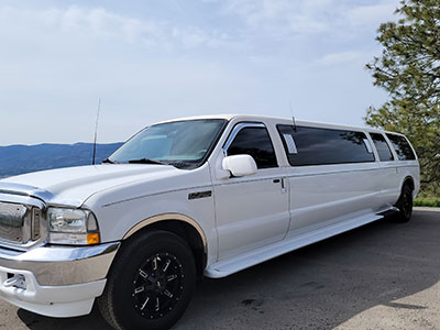 Our large fleet can easily accommodate the bride and groom as well as your wedding party.