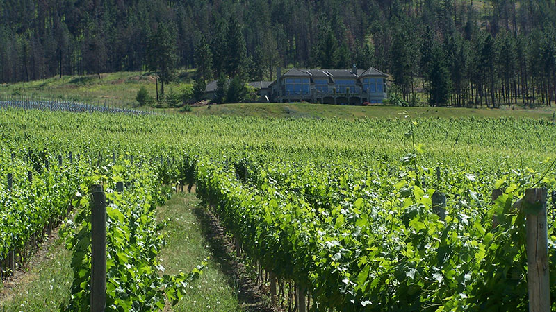 Okanagan Limousine offers wonderful wine tours throughout Kelowna.