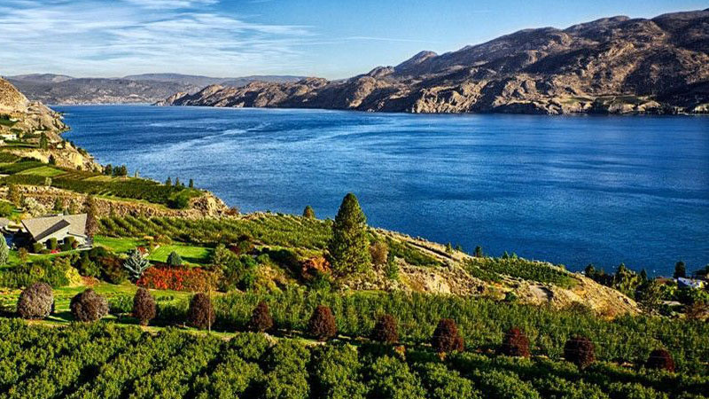 Okanagan Limousine offers wonderful wine tours throughout the Summerland area.